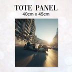 TOTE Panel F1 Car 1 TP-1007