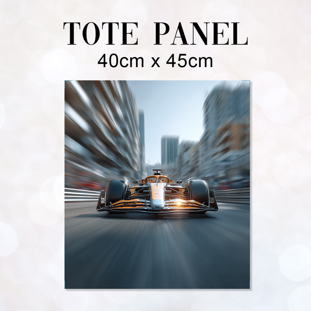 TOTE Panel F1 Car 2 TP-1008