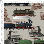 Trains Fabric