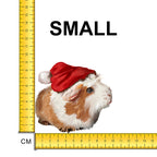 Santa Hat Guinea Pig Iron on Fabric Heat Transfer DTF-84