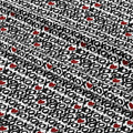 XoXo Fabric