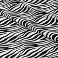 Zebra Black and White Fabric